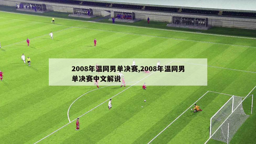 2008年温网男单决赛,2008年温网男单决赛中文解说